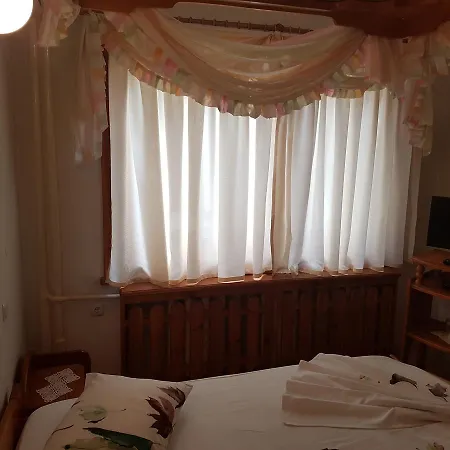 Hotell Mishel Kocherinovo