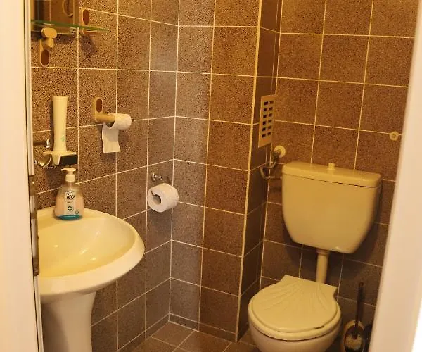 Mishel Hotel Kocherinovo