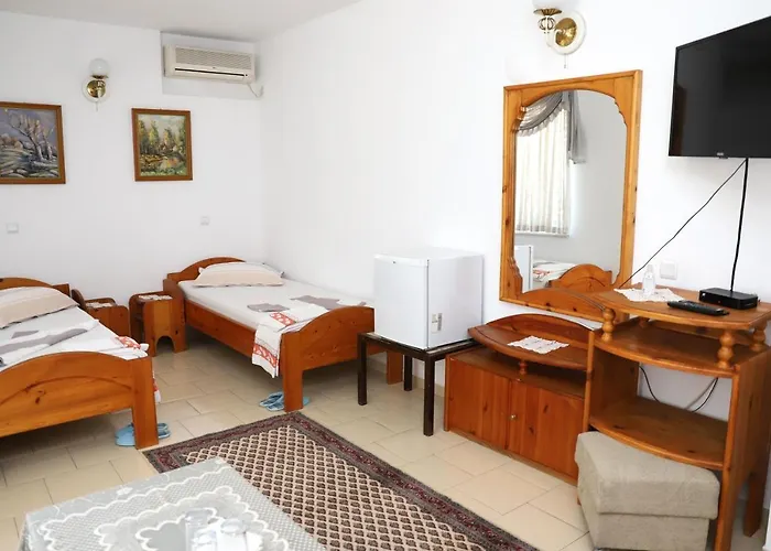 Hotel Mishel Kocherinovo