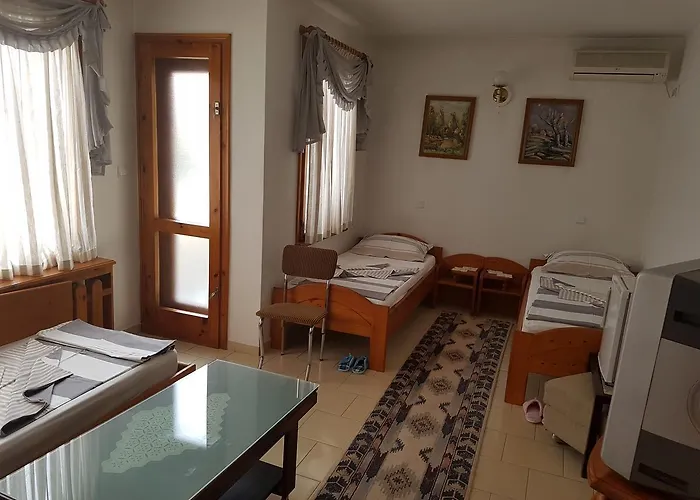 Hotel Mishel Kocherinovo